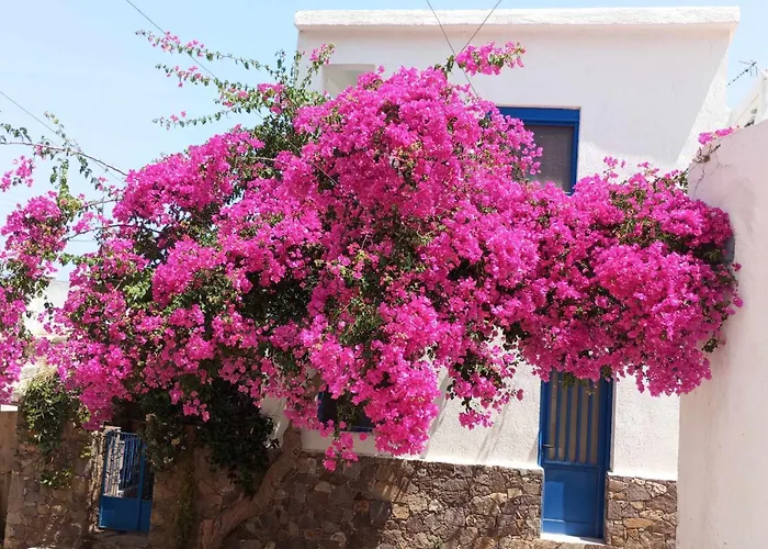 Καφενεσ